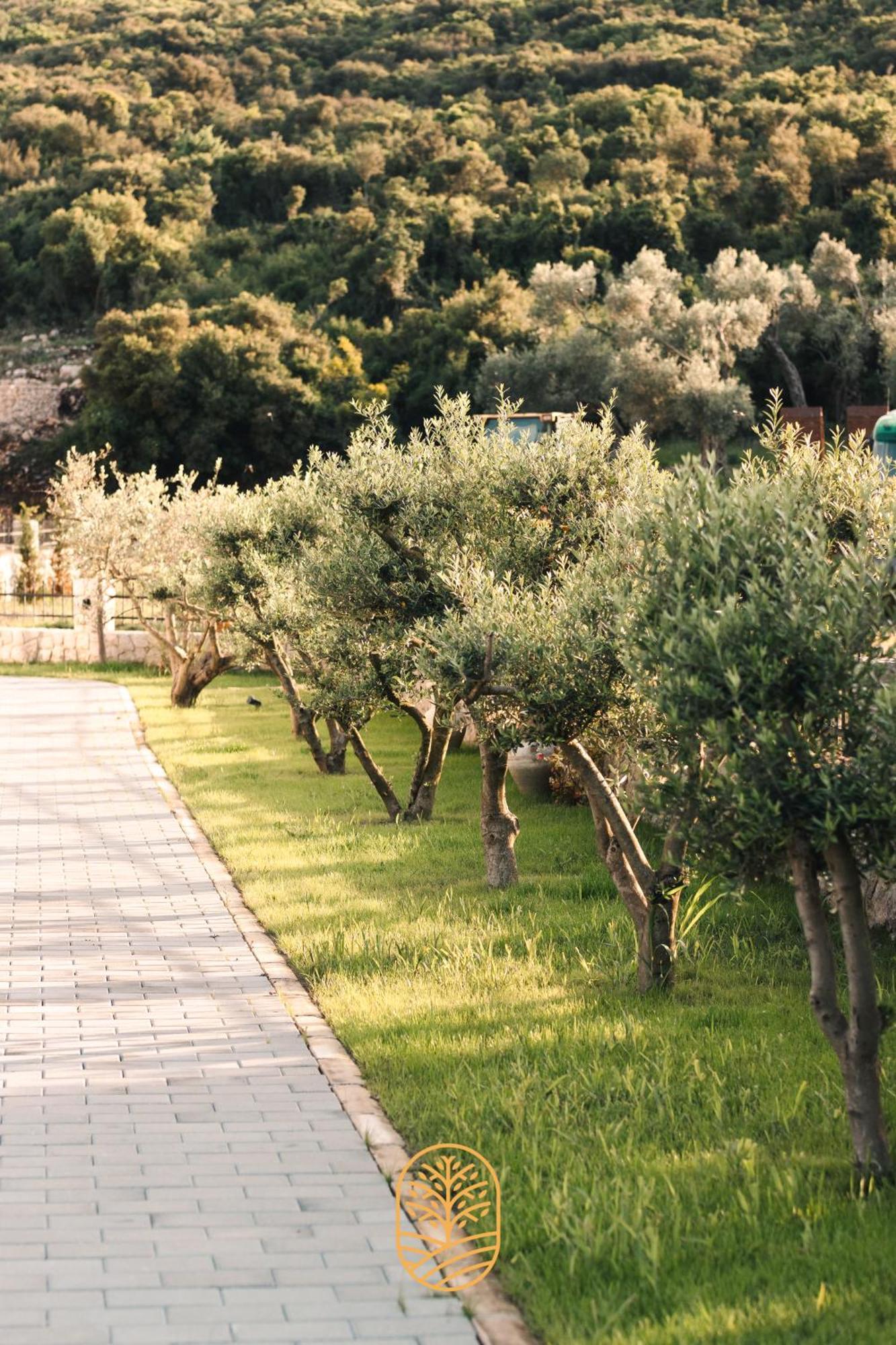 Carolea Villas Ulcinj Esterno foto